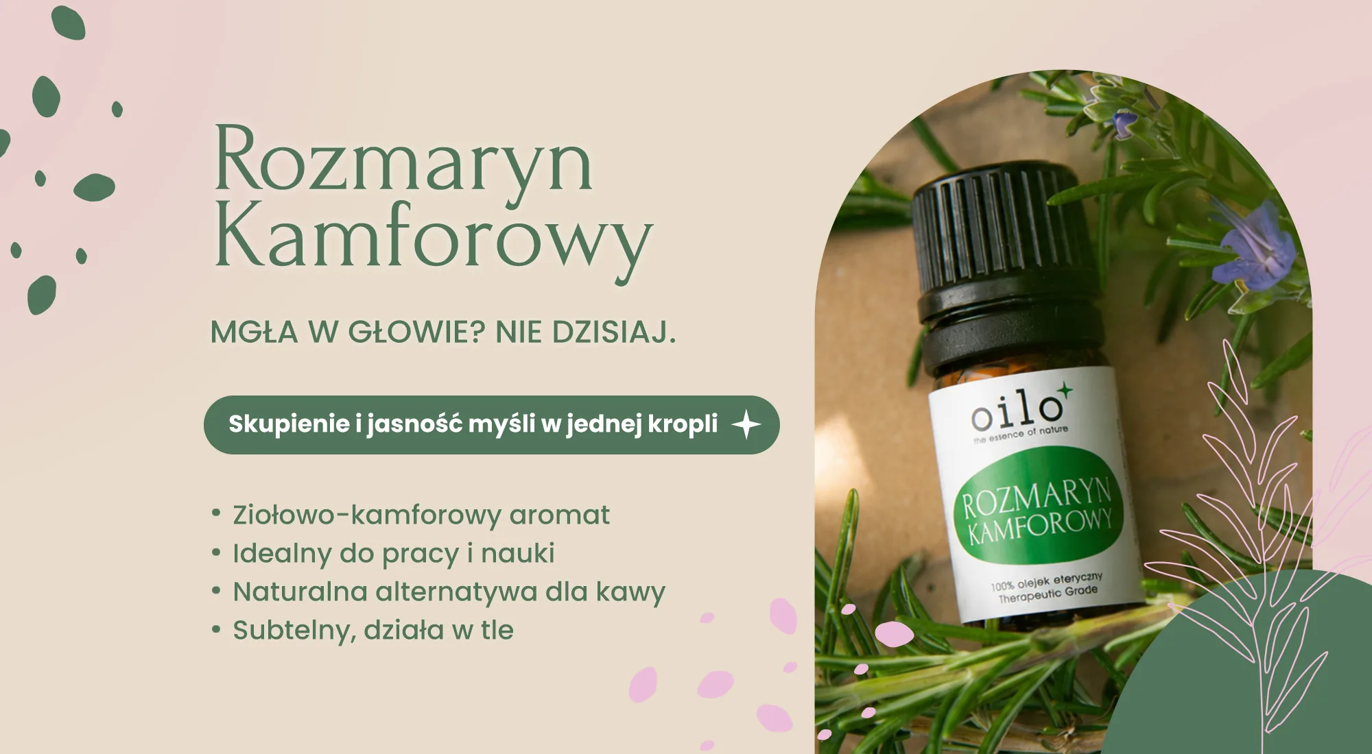 Rozmaryn kamforowy — mgła w głowie? Nie dzisiaj. Skupienie i jasność myśli w jednej kropli