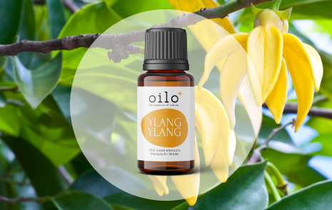 Olejek ylang ylang – właściwości i zastosowanie