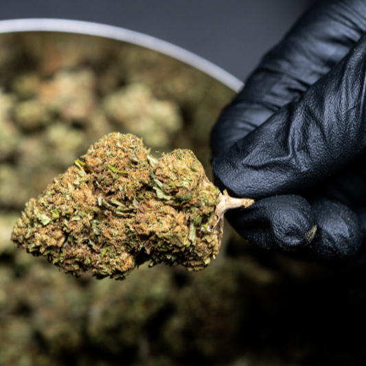 olejek CBD - zdjęcie drugie