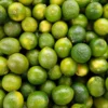 Olejek limonkowy — zbliżenie rośliny / kwiatów