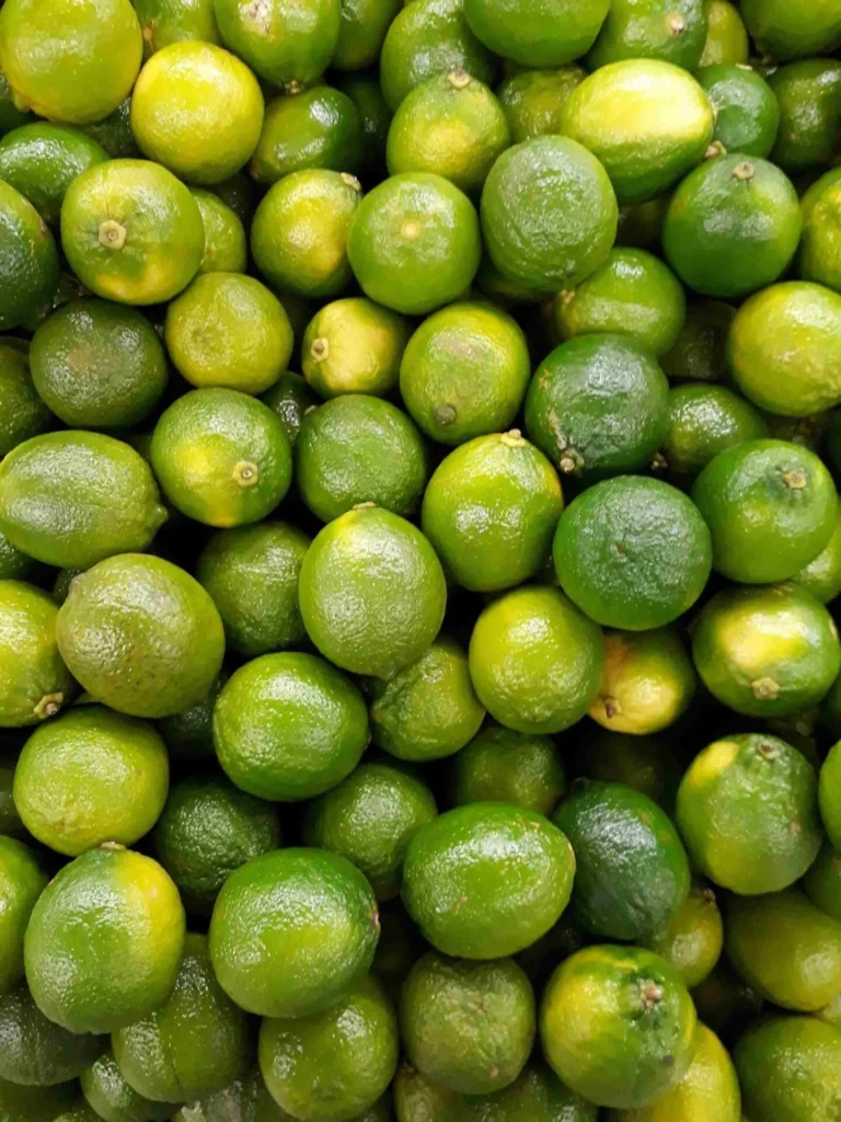 Olejek limonkowy — zbliżenie rośliny / kwiatów