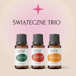 ŚWIĄTECZNE TRIO — zestaw: sosna, cynamon, mandarynka