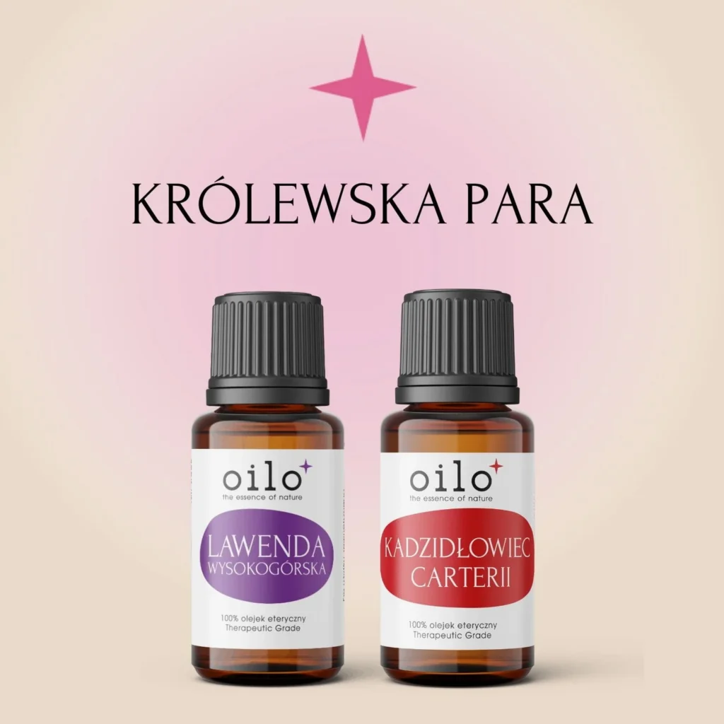 KRÓLEWSKA PARA — zestaw: lawenda wysokogórska i kadzidłowiec Carterii
