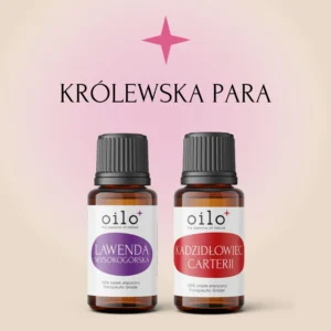 KRÓLEWSKA PARA — zestaw: lawenda wysokogórska i kadzidłowiec Carterii