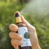Hydrolat miętowy — zbliżenie rośliny / kwiatów