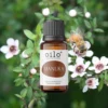 Olejek manuka — butelka na tle aranżacji