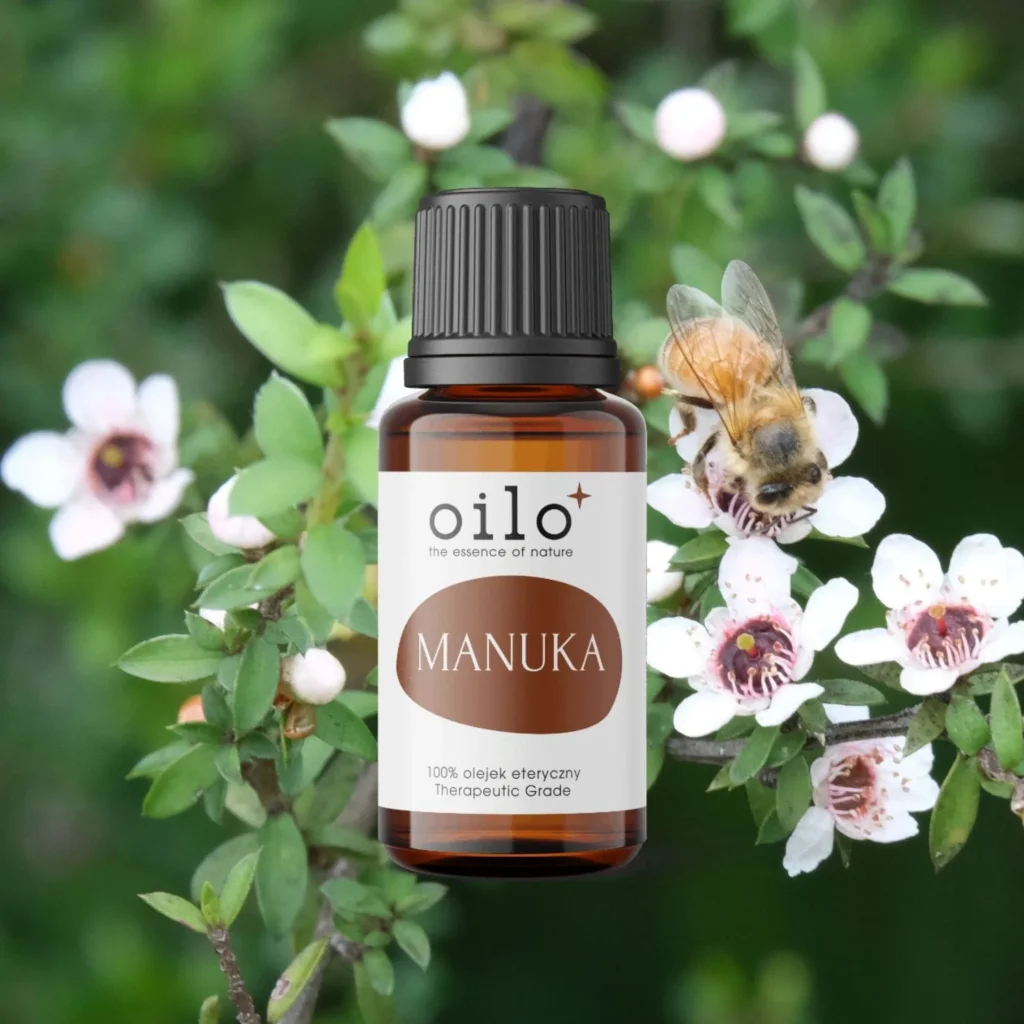 Olejek manuka — butelka na tle aranżacji