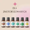 PREZENT DLA KIEROWCY — zestaw: Alchemicy, Lekka Głowa, Głęboki Oddech, mięta pieprzowa, rozmaryn kamforowy i cytryna